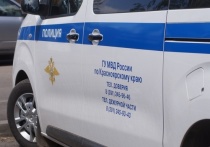 Красноярская полиция поделилась итогами года и рассказала о наркопреступлениях