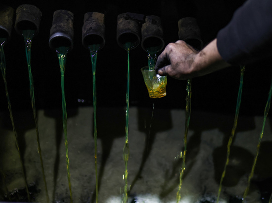 Россия нарастила добычу нефти перед введением эмбарго