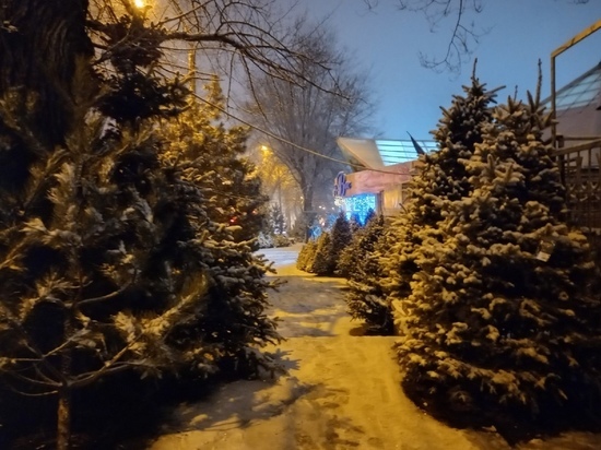 Ёлочные базары начнут работу в Луганске с середины декабря