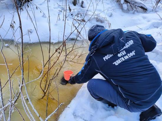 В Новосибирске для выяснения причин загрязнения речки Нарнисты привлекли федеральных специалистов