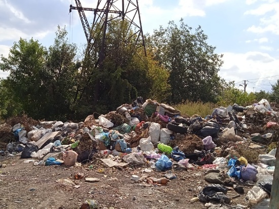 Коммунальщики устранили более двух тысяч стихийных свалок в ДНР