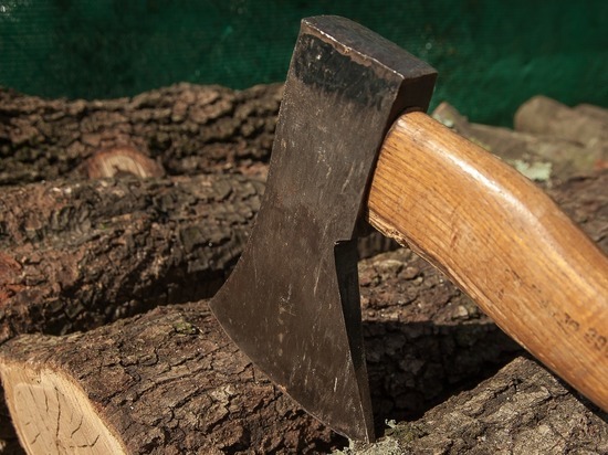 Житель Башкирии незаконно спилил деревья на 580 тыс рублей