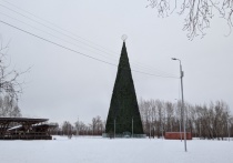 Наряжать новогоднюю 55-метровую елку на острове Татышев начали в Красноярске