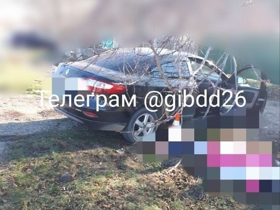 Ставрополец помешал пьяному водителю и погиб под колесами