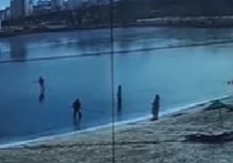 В Белгороде дети устроили игру в хоккей на едва схватившемся льду