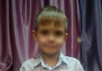 Шестилетний мальчик сбежал из прогимназии в Красноярске на улице Красномосковской