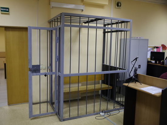 Житель Апатитов предстанет перед судом за публичное оскорбление полицейского