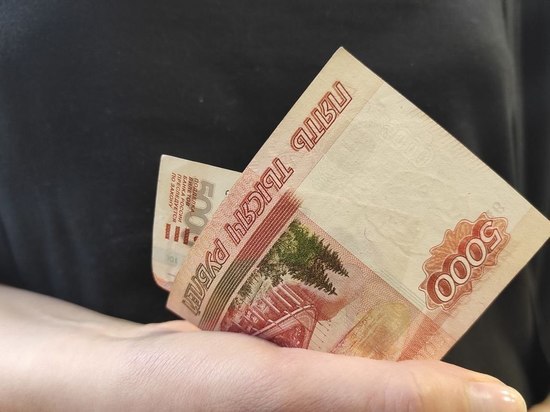 На 10 миллионов рублей уменьшился объем долгов по заработной плате в Новгородской области