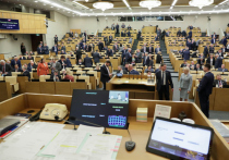 Госдума 6 декабря единогласно поддержала в первом чтении законопроект «О пробации в РФ»