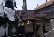 В Забайкалье на трассе в Хилокском районе большегруз Scania врезался в КамАЗ