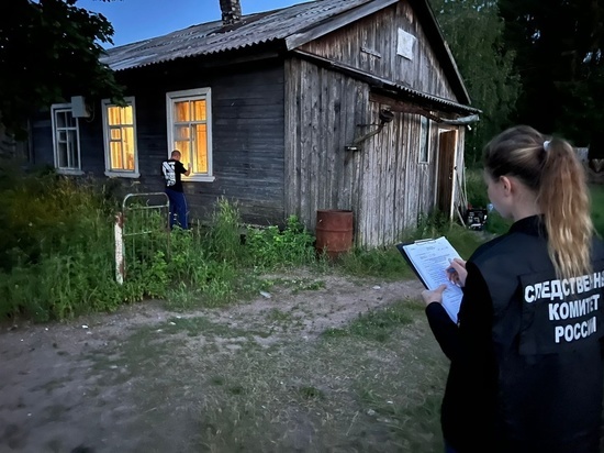 Мужчина с психическим расстройством убил женщину в селе Карелии Нурмойла