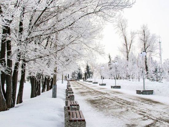 Сильные морозы снова накроют Алтайский край в ближайшие дни