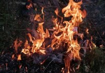 По данным МЧС России по Тульской области, за период с 6 по 7 декабря в регионе произошло шесть техногенных пожаров, один из которых в жилом секторе