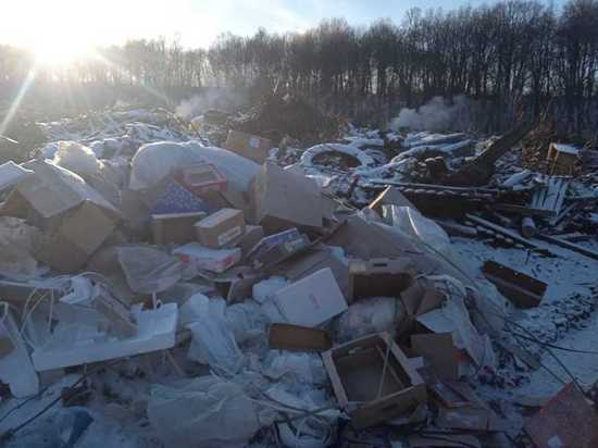 Союз экологов Башкирии призывает остановить мусорный беспредел в Мишкино