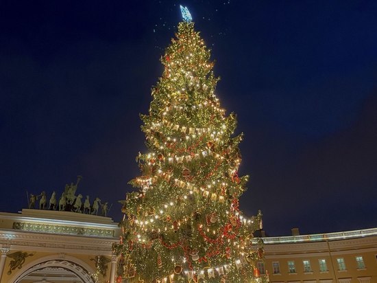 Столетнюю новогоднюю ель установили на Дворцовой