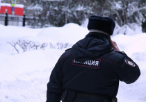 Труп школьницы обнаружен во вторник днем на юго-западе Москвы