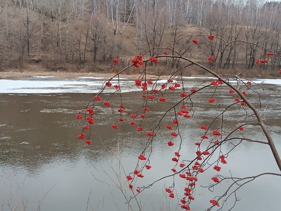 Агроном Шубина спрогнозировала обильный паводок в Новосибирске после бесснежной и морозной зимы