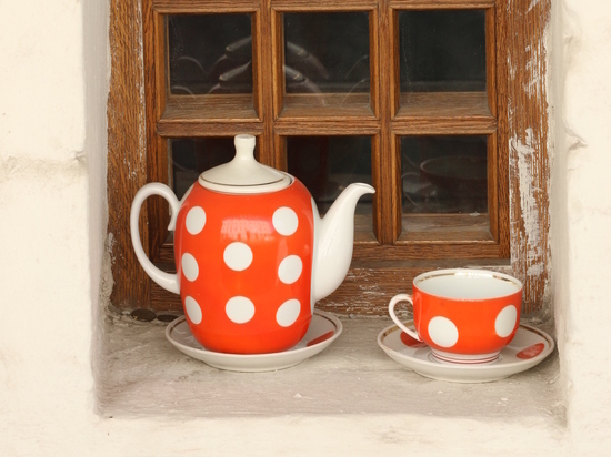 Подмосковные лесничие предложили альтернативу традиционному чаю