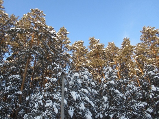 Свердловские синоптики рассказали, когда ждать потепления