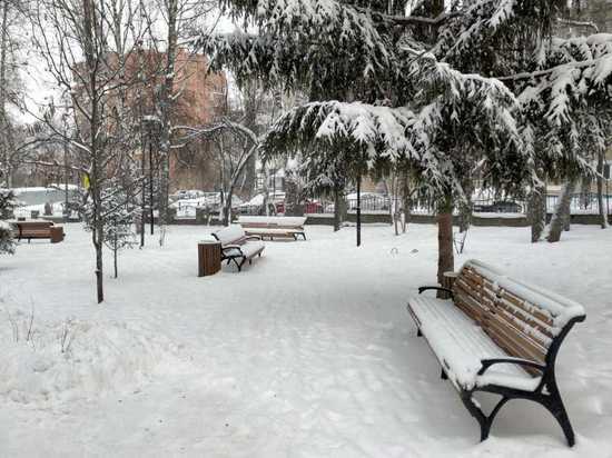 Небольшой снег и - 15 градусов пообещали синоптики томичам 8 декабря