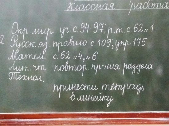 Назвали условия для введения дистанционного обучения в школах Орловской области