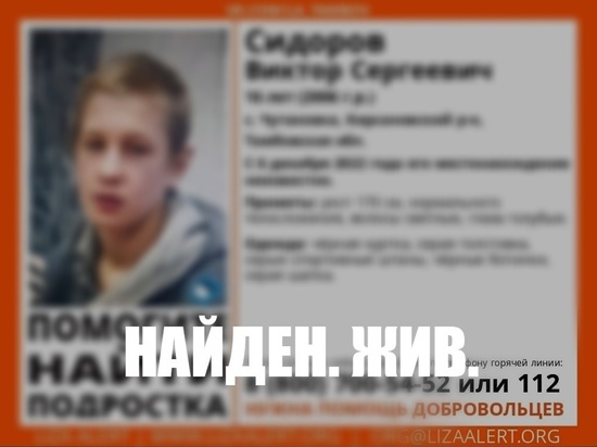 В Тамбовской области нашли пропавшего 16-летнего подростка