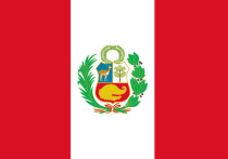 Парламент Перу проголосовал за отставку президента Педро Кастильо, ранее заявившего о введении комендантского часа и роспуске законодательного органа