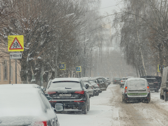 ГИБДД призвала рязанских водителей к осторожности на дороге из-за снегопада