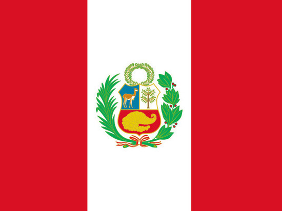Перуанский парламент объявил импичмент президенту Педро Кастильо