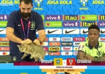 Как сообщает Globo, скандальный эпизод с участием кошки произошел во время пресс-конференции сборной Бразилии в пресс-центре стадиона Гранд Хамад на чемпионате мира по футболу в Катаре