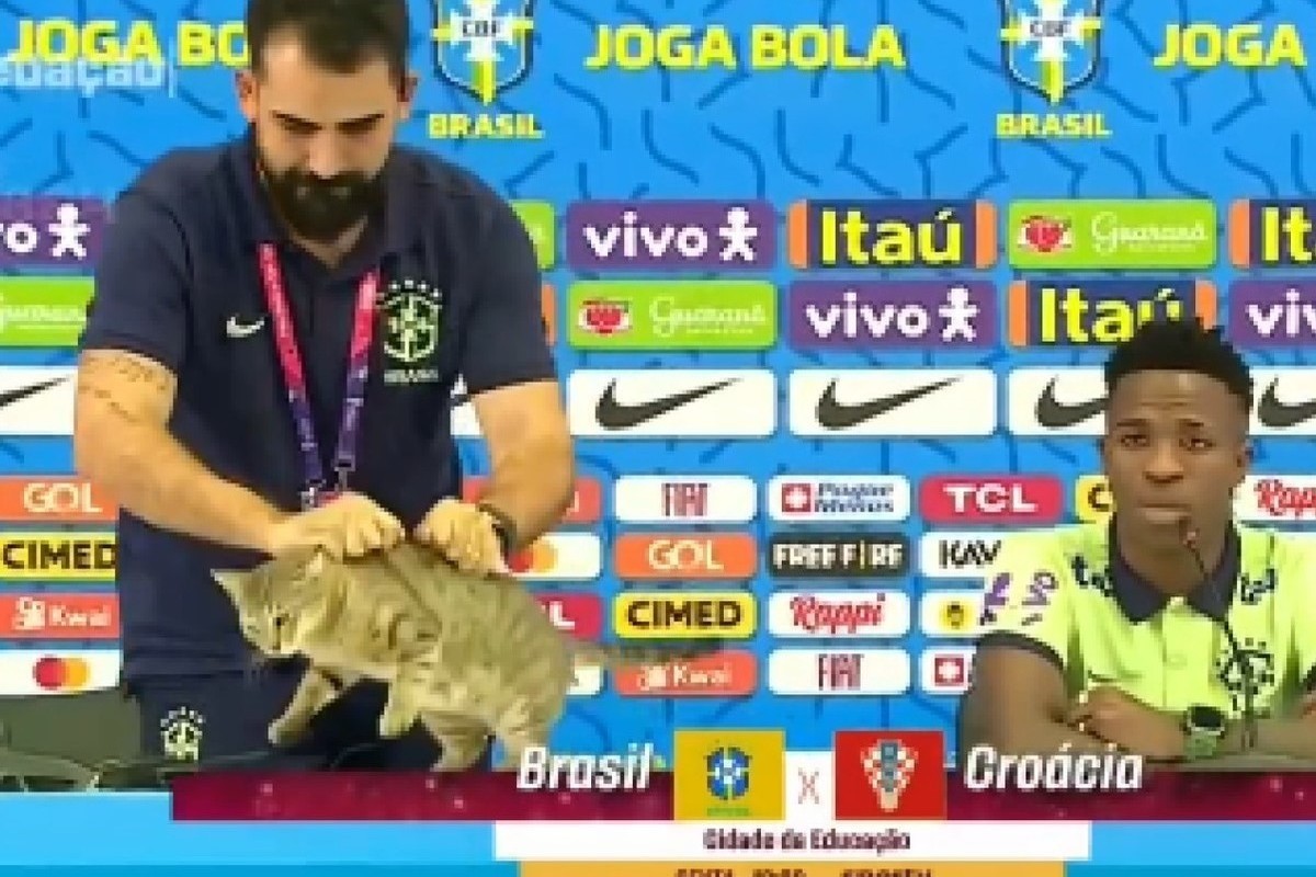 Cat kicked out of Brazil's World Cup press conference