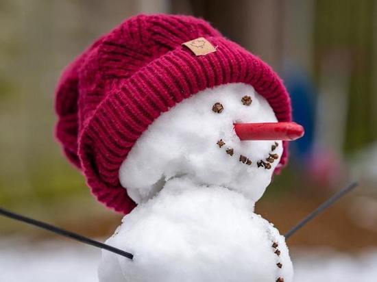 В Улан-Удэ объявили конкурс на самого креативного снеговика