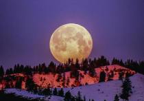 Декабрьское полнолуние, также известное как «холодная луна», ярко светит в небе в ночь на четверг