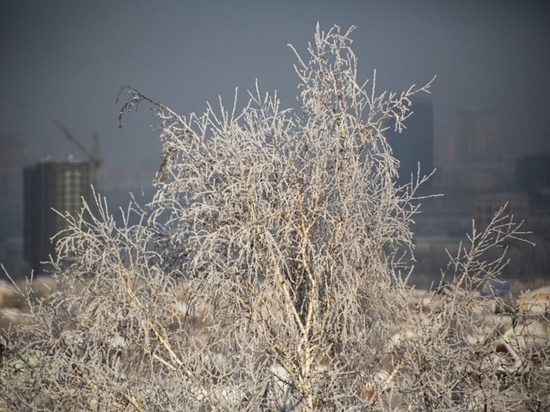 До -31 градуса похолодает 9 декабря в Новосибирской области