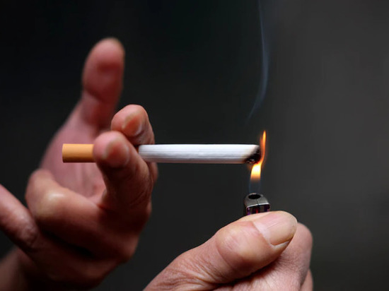 В Новосибирской области за год нашли больше 100 тысяч пачек нелегальных сигарет