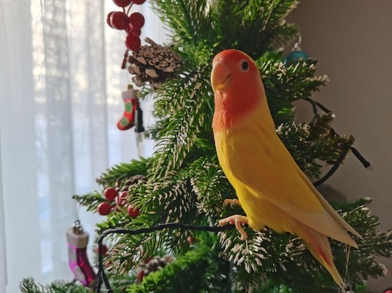 Оказывается, способы есть!