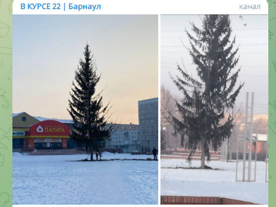 Жители Заринска обсмеяли «лысую» новогоднюю елку