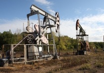 Первый замминистра энергетики Павел Сорокин заявил, что введение Западом потолка цен на российскую нефть не приведет к существенным последствиям для экономики России