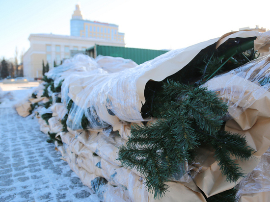 В Воронеже принялись за монтаж 21-метровой новогодней ели на площади Ленина