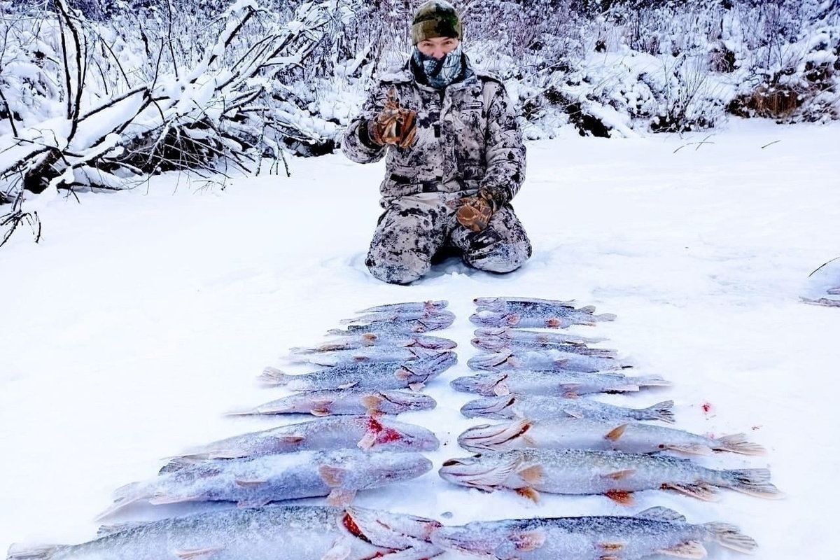 Рыбанутые томск