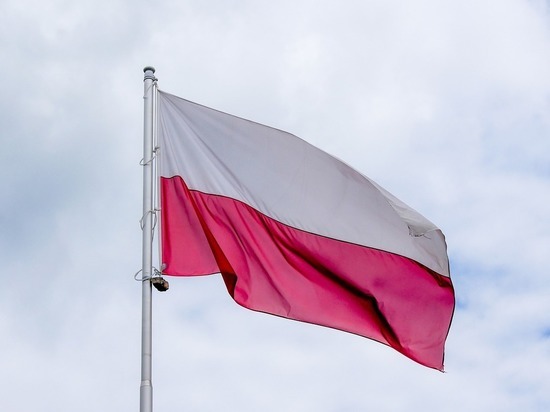 Посол Польши встретился с предложившим разделить Украину венгерским политиком