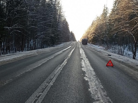 В Калужской области микроавтобус насмерть сбил идущего вдоль дороги мужчину