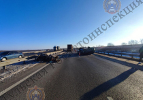 Днем 7 декабря на 308-ом километре автодороги М-4 «Дон» Ефремовского района Тульской области произошло дорожно-транспортное происшествие