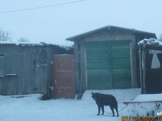 А также множества иного имущества