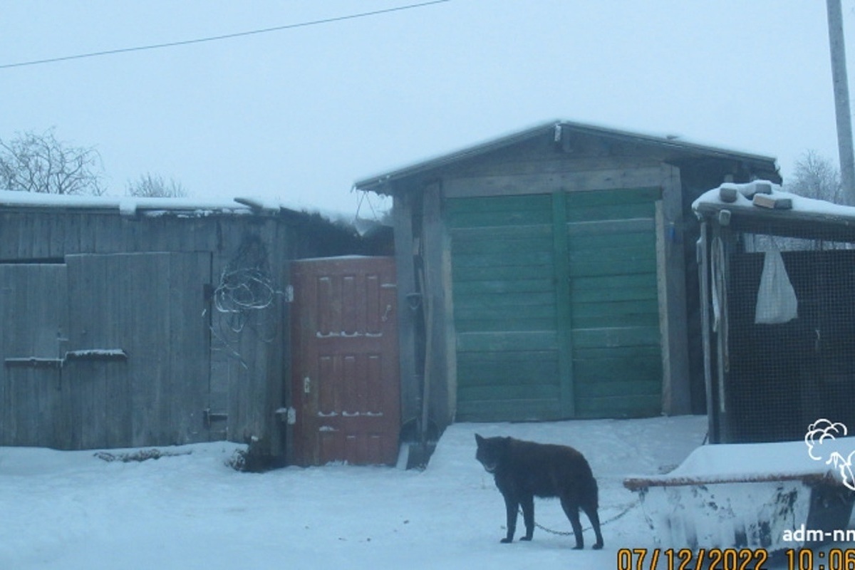 8 хозяев