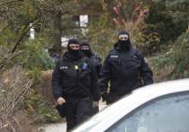В ходе крупномасштабных оперативно-розыскных мероприятий, облав и обысков, в одиннадцати федеральных землях Германии были арестованы 25 членов секретного антиправительственного движения