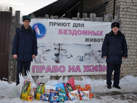 Сотрудники Костромского УФСИН оказали помощь приюту для животных «Право на жизнь»