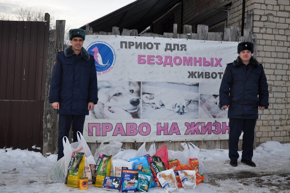 Сотрудники Костромского УФСИН оказали помощь приюту для животных «Право на жизнь»