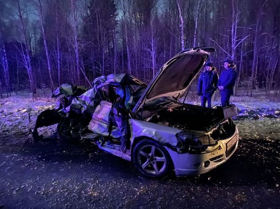 Двое малолетних детей попали в больницу в результате ДТП с фурой в Псковской районе