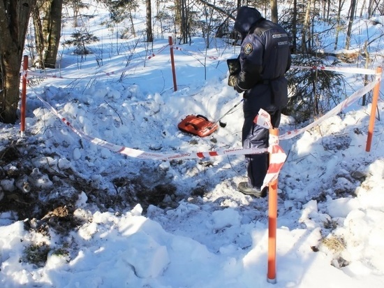 В Ярославской области нашли скелетированный труп инвалида